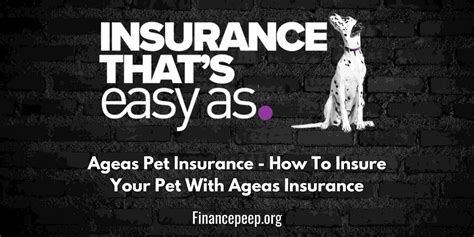 ageas pet insurance coverage.